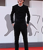 TCF-331.jpg