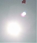 TCF-S004.jpg