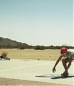 TCF-S015.jpg