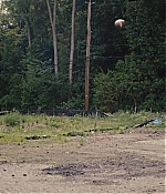 TCF-TAD063.jpg