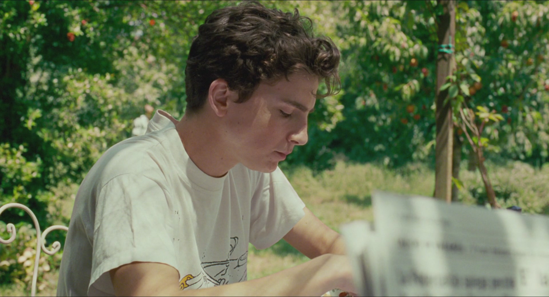 TCF-CMBYN0110.jpg