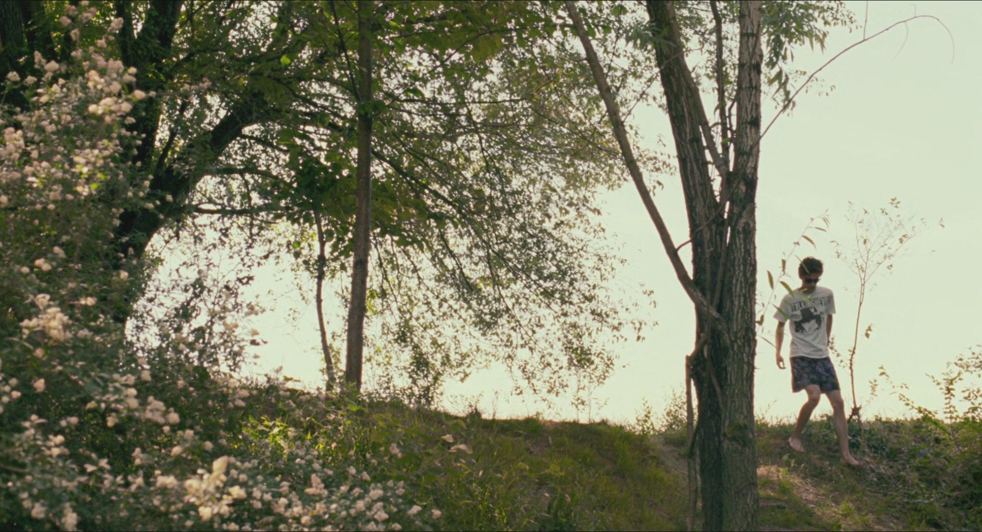 TCF-CMBYN0935.jpg