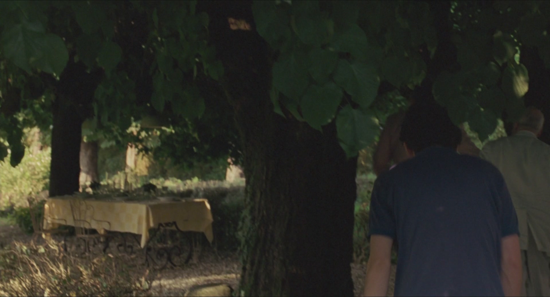 TCF-CMBYN1321.jpg