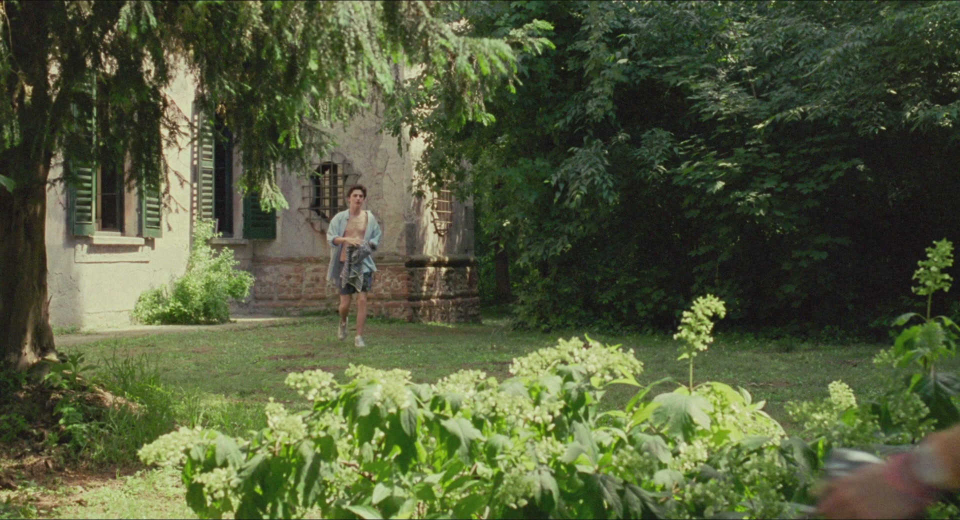 TCF-CMBYN1753.jpg