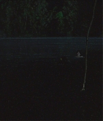 TCF-CMBYN0579.jpg