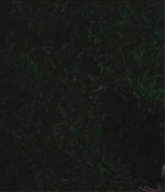TCF-CMBYN1194.jpg