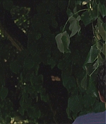 TCF-CMBYN1320.jpg