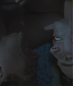 TCF-CMBYN1457.jpg