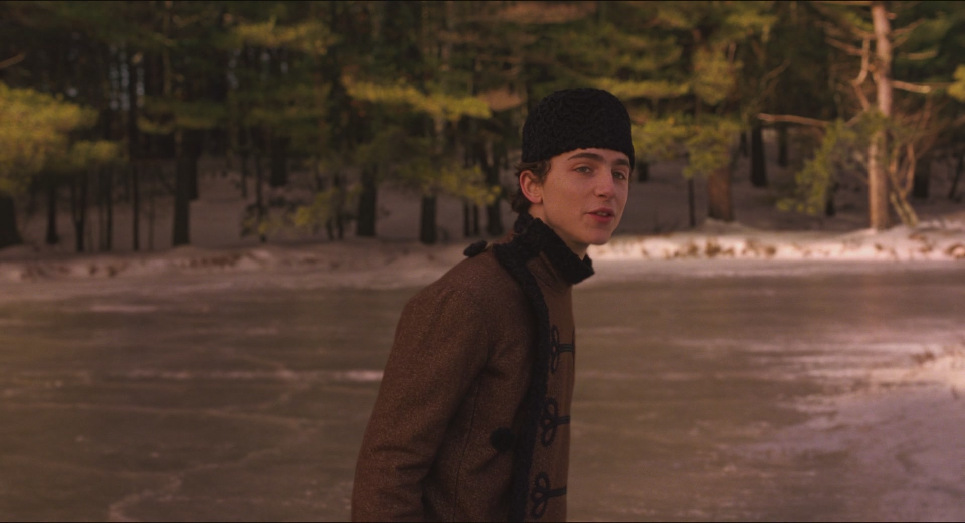 TCF-LW291.jpg