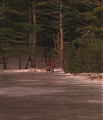 TCF-LW295.jpg