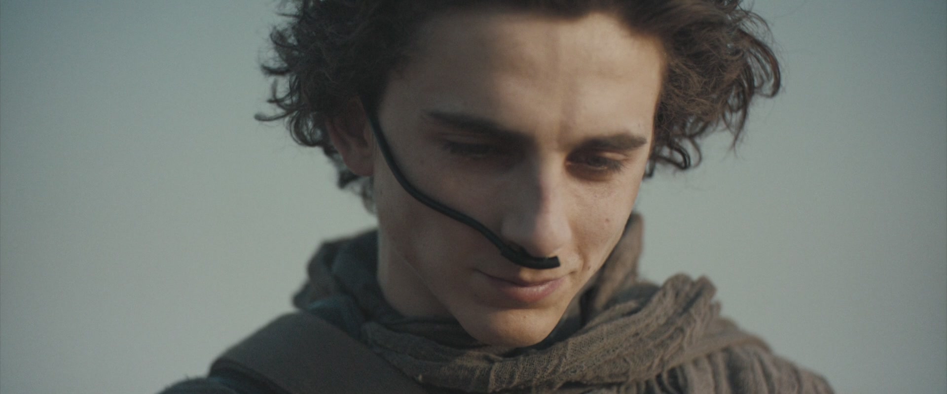 TCF-D782.jpg