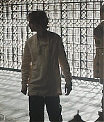 TCF-D080.jpg