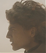 TCF-D337.jpg