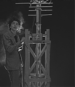 TCF-TFD175.jpg
