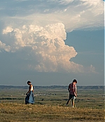 TCF-011.jpg